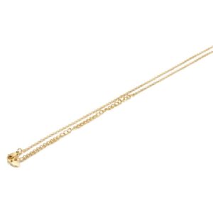 Collana catena 42+5cm PVD ORO