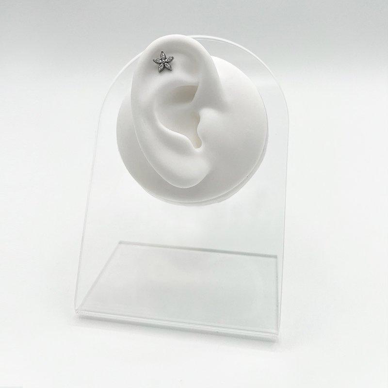 Tragus Fiore - immagine 2