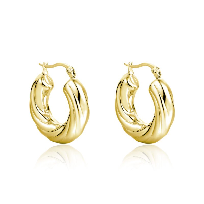 Orecchini Cerchio Torcon pvd oro